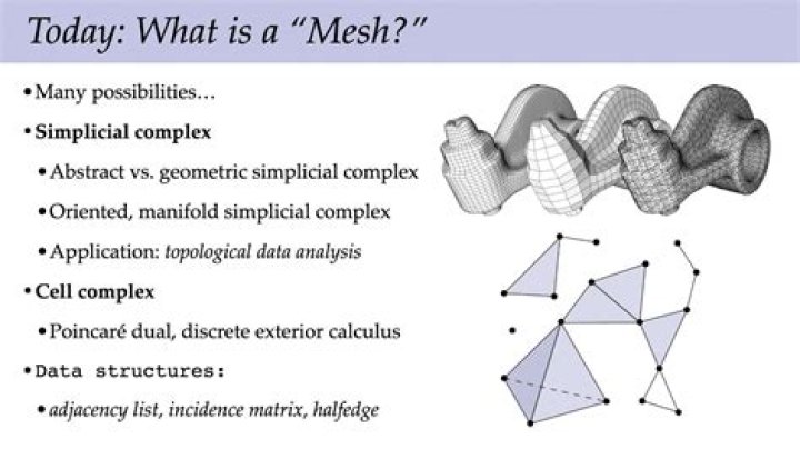 Could you explain the definition of mesh?