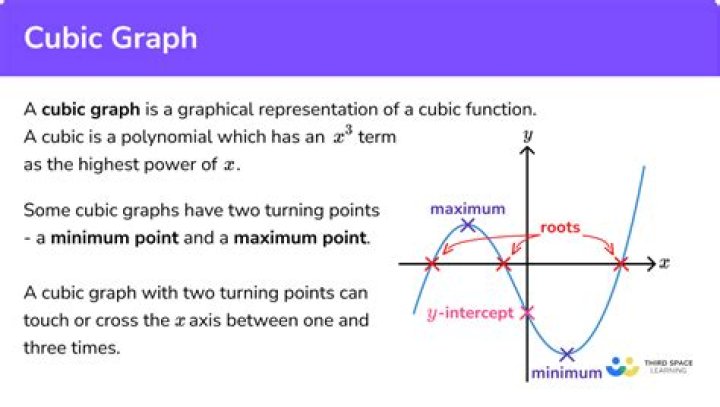 cubic function of the two points (2,0) (4,0)