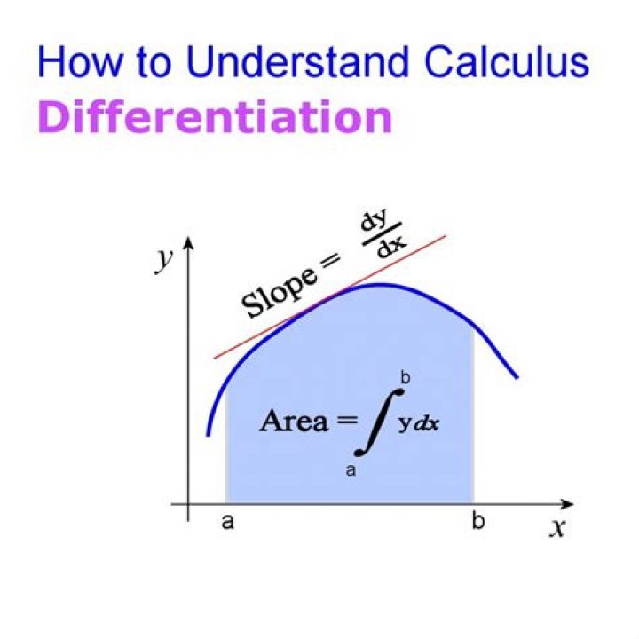 Differential calculus vs Integral calculus