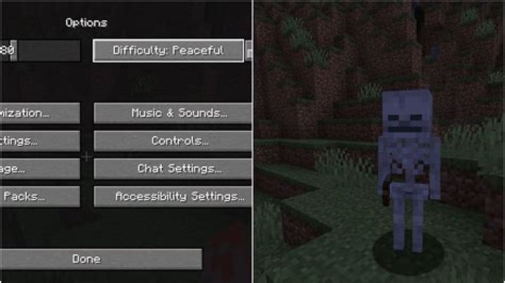 Do shulkers despawn in Peaceful Mode?