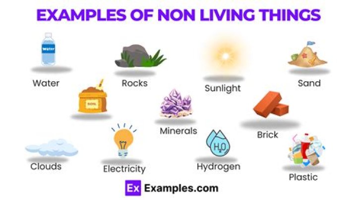 Examples of non-ideals