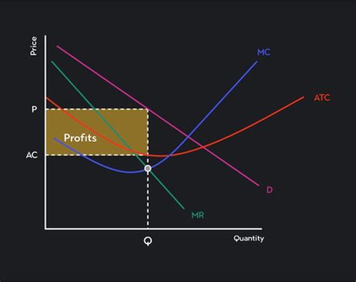 Find the price that will maximize the profit