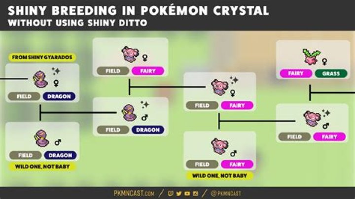 How are shiny odds affected by breeding shiny parents in Pokemon GSC?