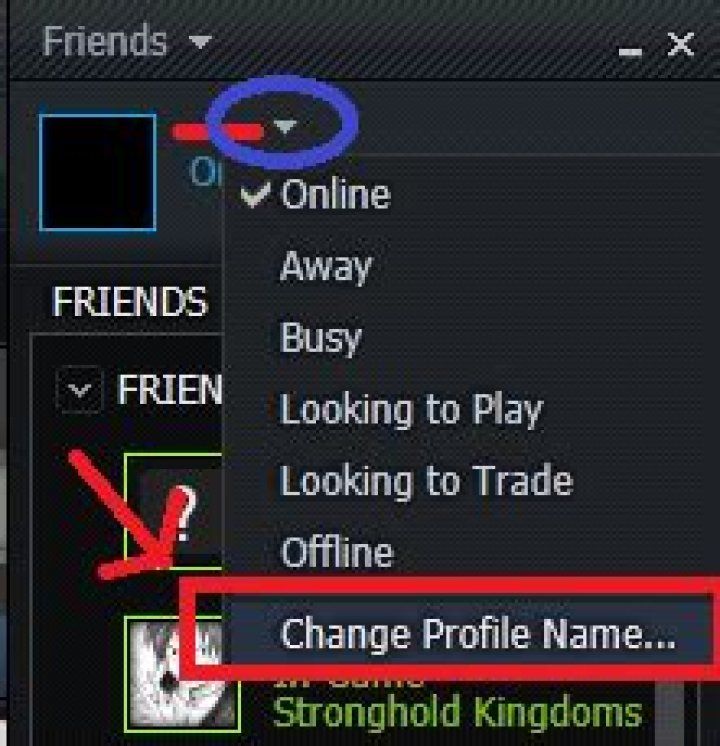 How can I change my in-game playername?