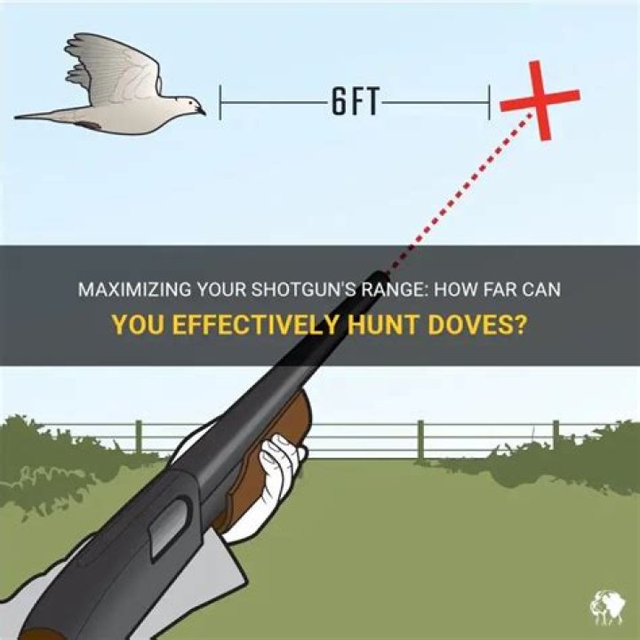 How can I effectively hunt eidolons?
