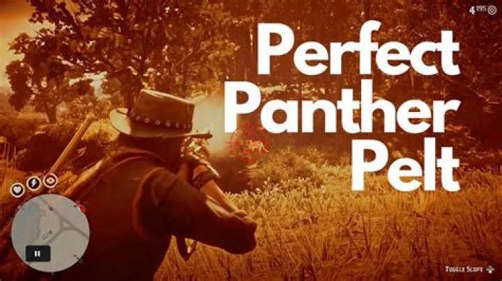 How can I get a perfect pelt when hunting?