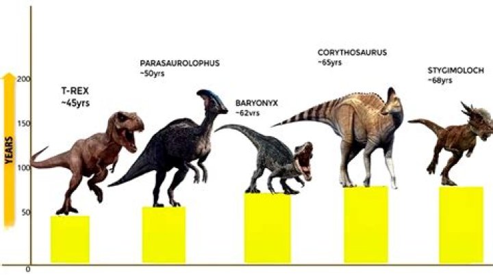 How can I keep baby dinosaurs alive?