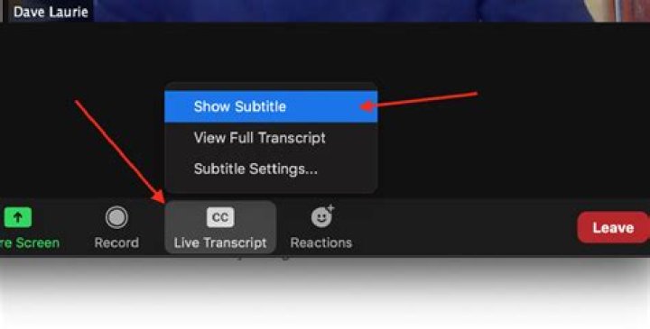 How do I enable subtitles for Voxophone audio logs?