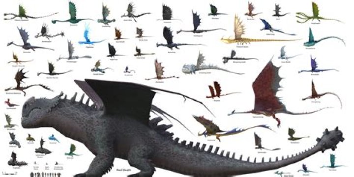 How do I find dragons to ride?