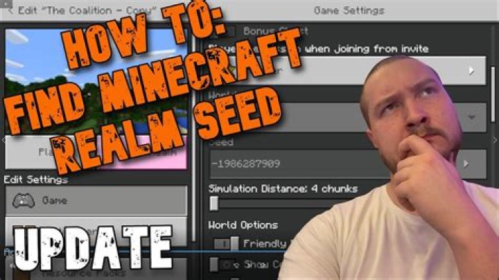 How do i test my minecraft server?
