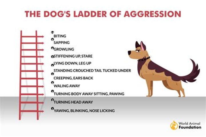 How do I train?