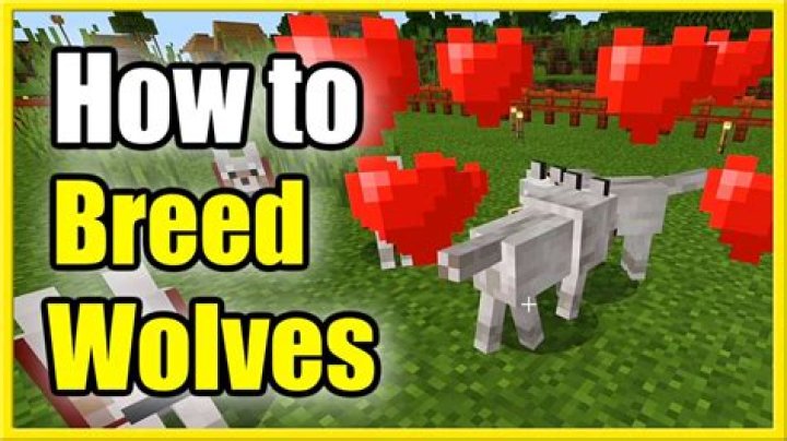 How do you feed a wolf?