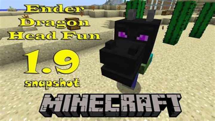 How do you get a dragon head in Minecraft?