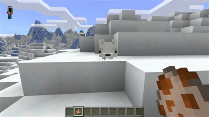 How do you spawn an arctic fox in Minecraft education edition?