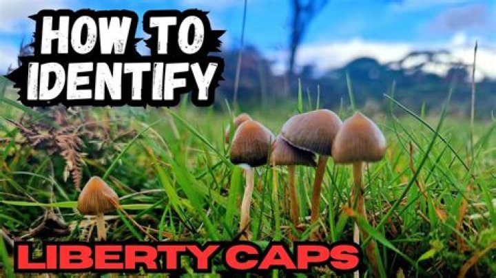 How many caps do I really need?