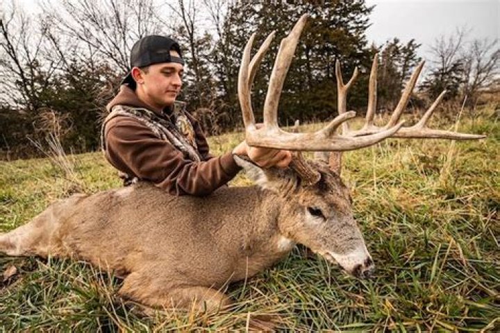 How many rupees can I earn for Deer Hunting?
