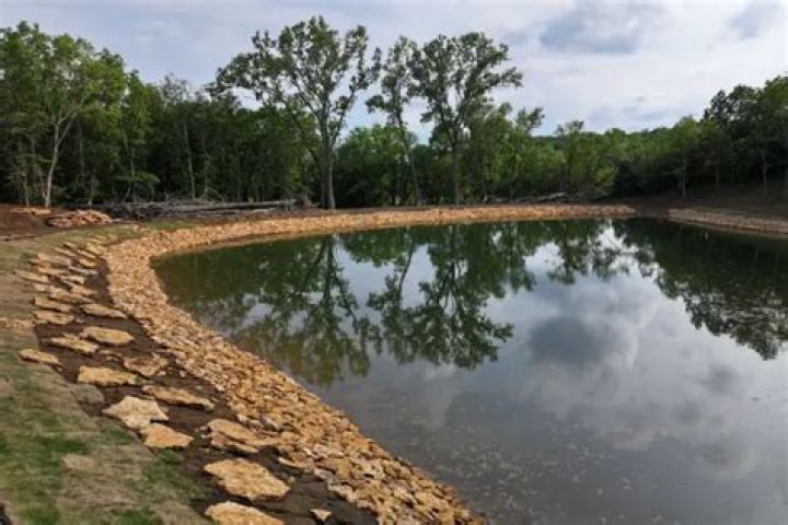 Influence of quality of fish used to stock pond
