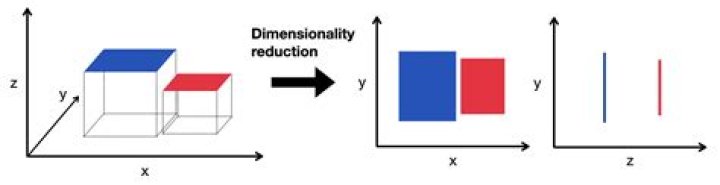 Is there a symbol for the number of dimensions in a vector?