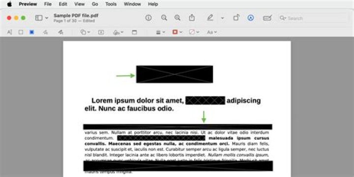 Is there a way to decipher Prof. Goopton's language using in-game cues