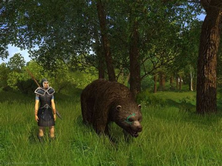 Is there Tauriel in LotRO? [closed]