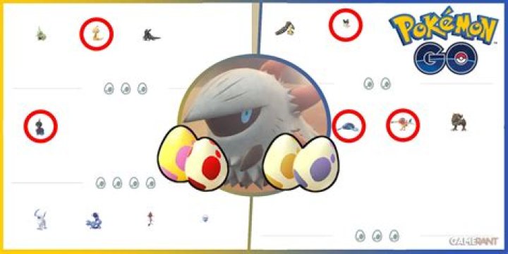 Lost my 10km egg and don't know why