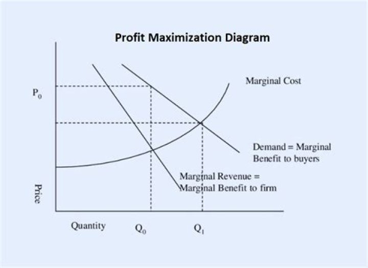 Maximize profit with dynamic programming