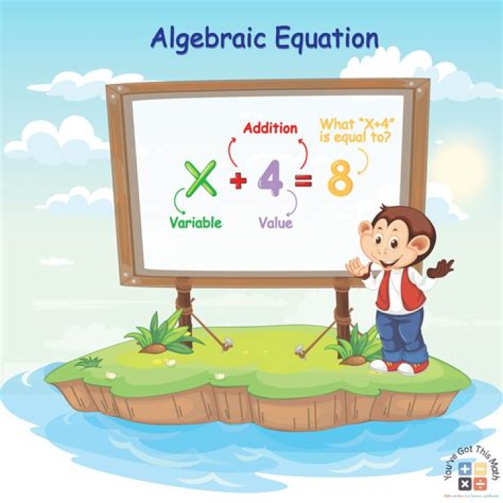 Meaning of algebraic decay