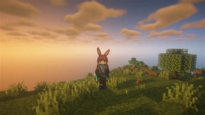Minecraft 1.16 – My 