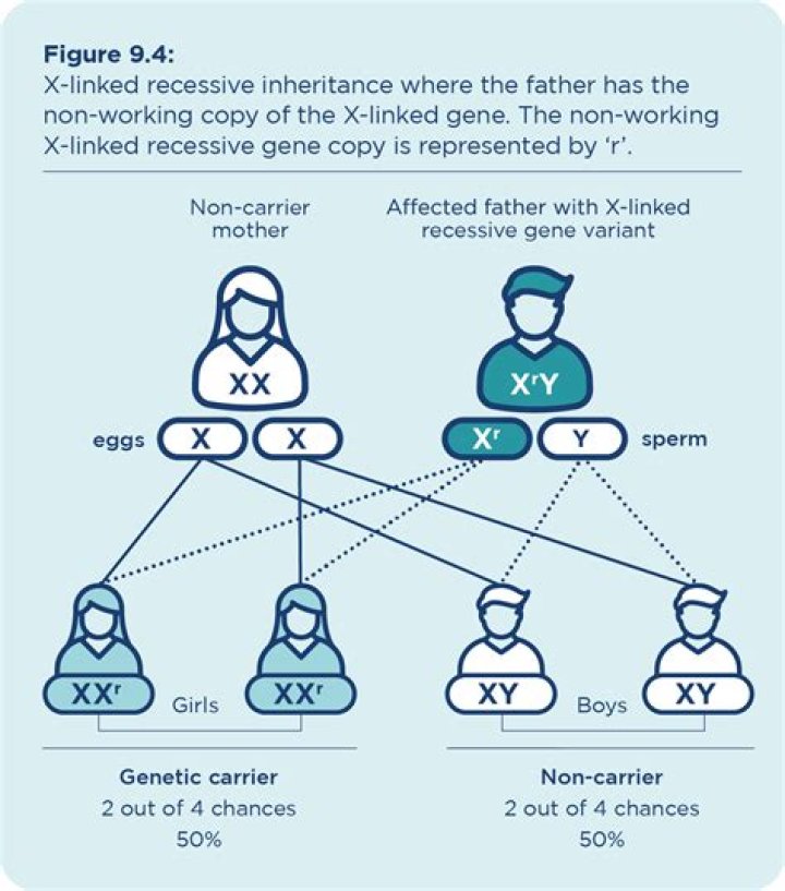 Problem with IV inheritance and Destiny Knot