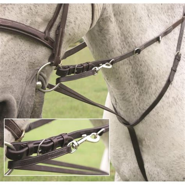 Proof that a stopped continuous-time martingale is a martingale.