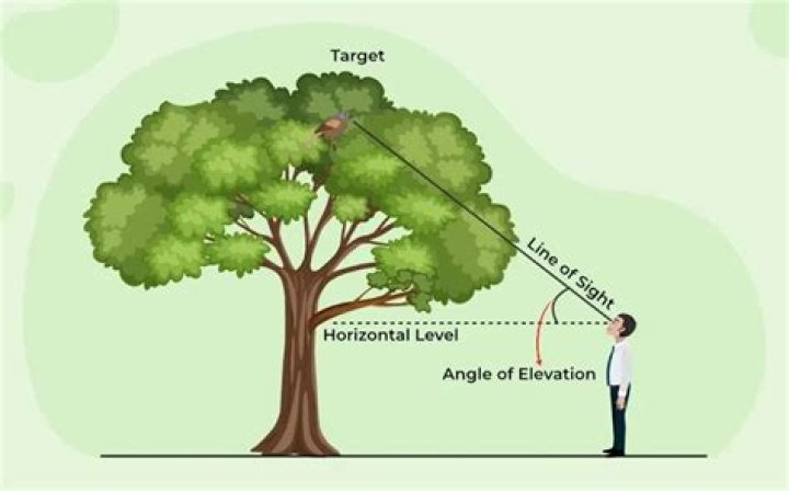 Related Rates and Angle of elevation