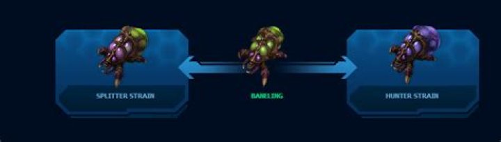 Splitter or Hunter Banelings in HOTS?