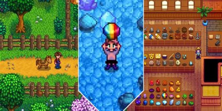 Stardew Valley Museum bug