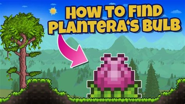 Terraria - How To Find Plantera Bulb Easiest Way [duplicate]
