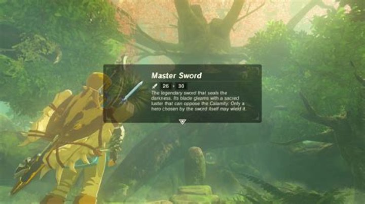 What are the specific mechanics governing how shields work in Breath of the Wild?