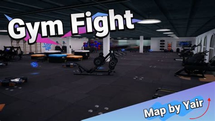 What do the bar colors mean, during gym fight?