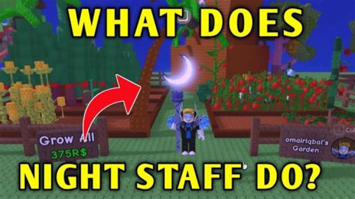 What does Night Terror of Darwin Village do?