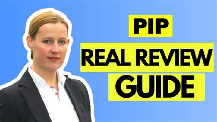 What does the Pip pet do?