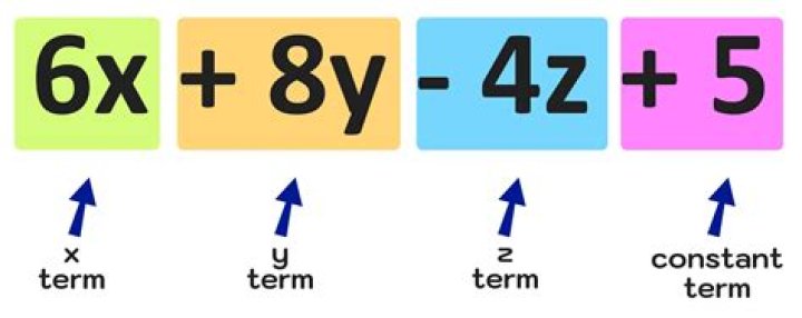What does the term 