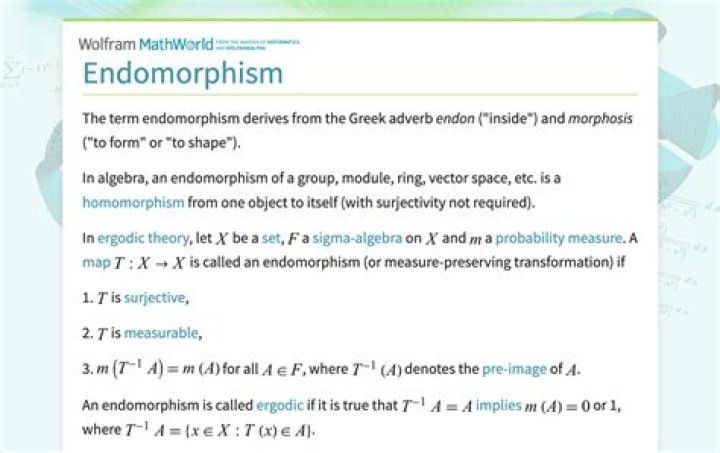 What exactly is an endomorphism?