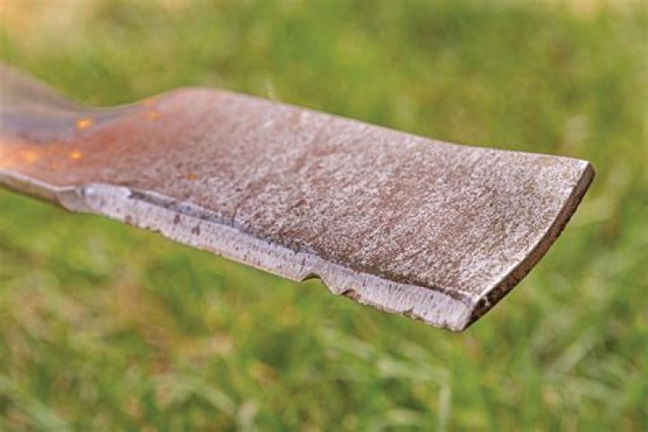 What happens with Trust Blade gets on Trust level A?