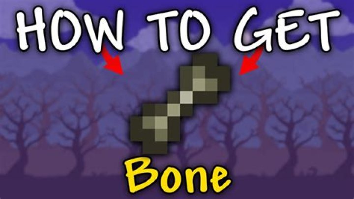 What is an easy way to get bones in Minecraft?