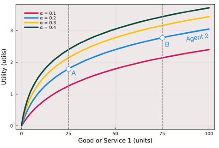 What is log-utility?