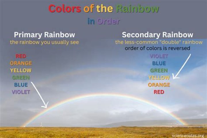 What is the difference between Intense Rainbow dye and normal rainbow dye?