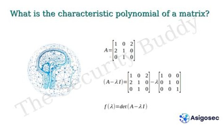 What is the fastest way to find the characteristic polynomial of a matrix?