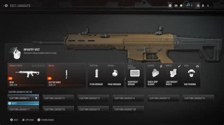 What is the most effective raiding strategy/loadout to earn resources?