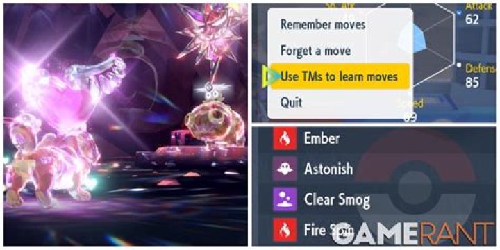 When can pokemon forget HM Moves in XY?