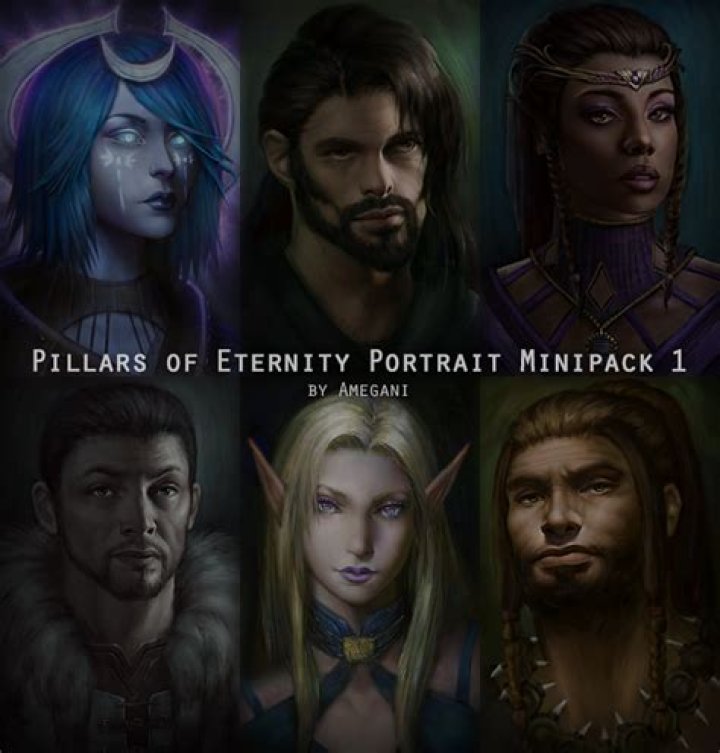 Where are Pillars of Eternity portraits located on OSX?