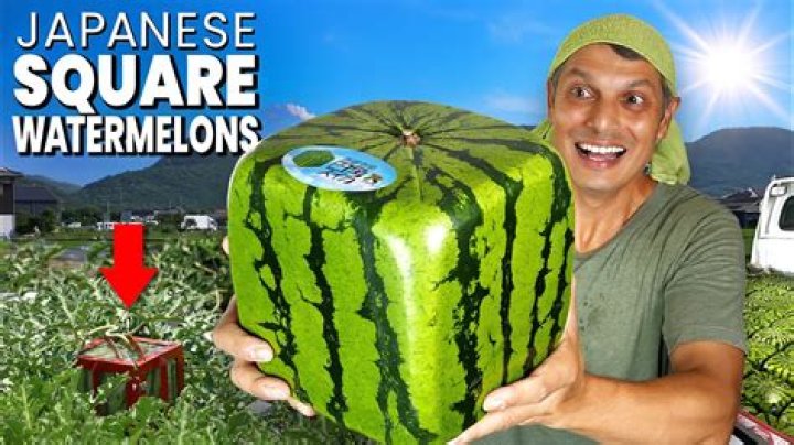 Where is the fifteenth watermelon?