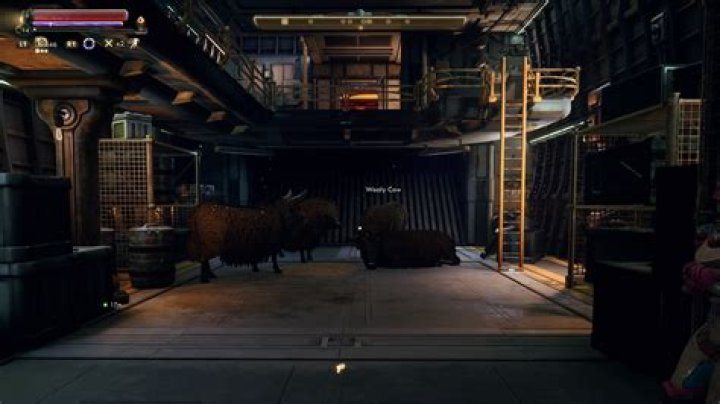 Why are there cows on my spaceship?